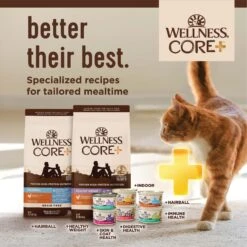 Wellness CORE Digestive Health Wholesome Grains Salmon & Rice Recipe Dry Cat Food 17 Wellness CORE Digestive Health Wholesome Grains Salmon & Rice Recipe Dry Cat Food -Furry Friends 264893 PT6. AC SS1800 V1608676655