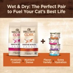 Wellness CORE Digestive Health Wholesome Grains Salmon & Rice Recipe Dry Cat Food 19 Wellness CORE Digestive Health Wholesome Grains Salmon & Rice Recipe Dry Cat Food -Furry Friends 264893 PT8. AC SS1800 V1608679663