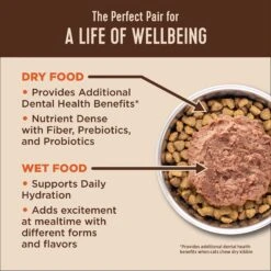 Wellness CORE Digestive Health Chicken Pate Recipe Grain-Free Wet Cat Food, 3-oz, Case Of 12 -Furry Friends 264896 PT2. AC SS1800 V1608682648