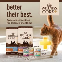 Wellness CORE Digestive Health Chicken Pate Recipe Grain-Free Wet Cat Food, 3-oz, Case Of 12 -Furry Friends 264896 PT7. AC SS1800 V1640206018