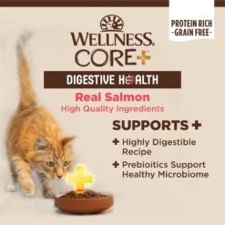 Wellness CORE Digestive Health Salmon Pate Recipe Grain-Free Wet Cat Food, 3-oz, Case Of 12 -Furry Friends 264902 PT2. AC SS1800 V1608679661
