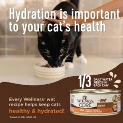 Wellness CORE Digestive Health Salmon Pate Recipe Grain-Free Wet Cat Food, 3-oz, Case Of 12 -Furry Friends 264902 PT3. AC SS1800 V1608685650