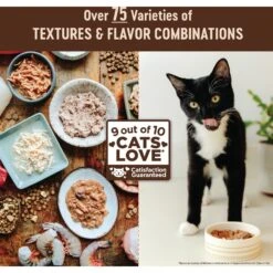 Wellness CORE Digestive Health Salmon Pate Recipe Grain-Free Wet Cat Food, 3-oz, Case Of 12 -Furry Friends 264902 PT6. AC SS1800 V1640204789