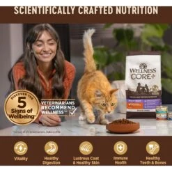 Wellness CORE Digestive Health Chicken & Turkey Pate Variety Pack Grain-Free Wet Cat Food -Furry Friends 264904 PT4. AC SS1800 V1608692275