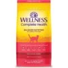 Wellness Complete Health Salmon Adult Dry Cat Food 2 Wellness Complete Health Salmon Adult Dry Cat Food -Furry Friends 265111 MAIN. AC SS1800 V1636515390