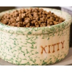 Dr. Gary's Best Breed Holistic All Life Stages Dry Cat Food 10 Dr. Gary's Best Breed Holistic All Life Stages Dry Cat Food -Furry Friends 265428 PT3. AC SS1800 V1609885054