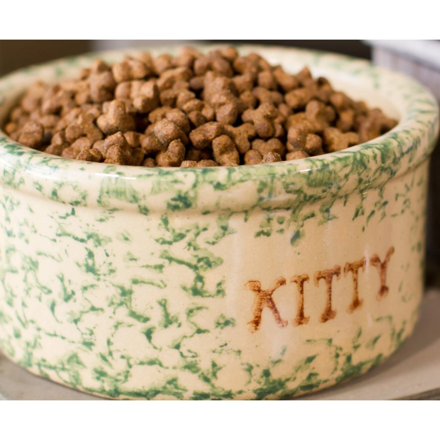 Dr. Gary's Best Breed Holistic All Life Stages Dry Cat Food 6 Dr. Gary's Best Breed Holistic All Life Stages Dry Cat Food - Image 4