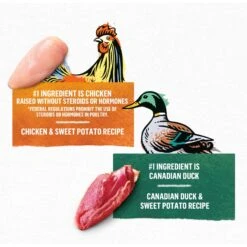 Purina Beyond Poultry Variety Pack Grain-Free Natural Pate Wet Cat Food, 3-oz Can, Case Of 12, 2 Count 13 Purina Beyond Poultry Variety Pack Grain-Free Natural Pate Wet Cat Food, 3-oz Can, Case Of 12, 2 Count -Furry Friends 265534 PT2. AC SS1800 V1700156987