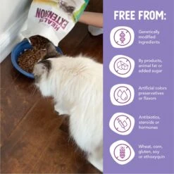Health Extension Chicken & Brown Rice Recipe Dry Cat Food -Furry Friends 265810 PT4. AC SS1800 V1616538999