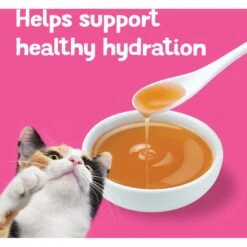 Friskies Lil' Gravies Savory Salmon Flavor Cat Food Complement 17 Friskies Lil' Gravies Savory Salmon Flavor Cat Food Complement -Furry Friends 266200 PT6. AC SS1800 V1695931920