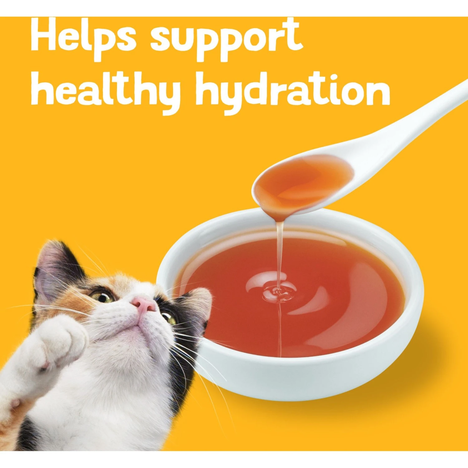 Friskies Lil' Gravies Roasted Chicken Flavor Cat Food Complement 9 Friskies Lil' Gravies Roasted Chicken Flavor Cat Food Complement - Image 7