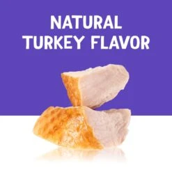 Friskies Lil' Gravies Roasted Turkey Flavor Cat Food Complement 14 Friskies Lil' Gravies Roasted Turkey Flavor Cat Food Complement -Furry Friends 266204 PT3. AC SS1800 V1695845917