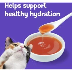 Friskies Lil' Gravies Roasted Turkey Flavor Cat Food Complement 17 Friskies Lil' Gravies Roasted Turkey Flavor Cat Food Complement -Furry Friends 266204 PT6. AC SS1800 V1695832283