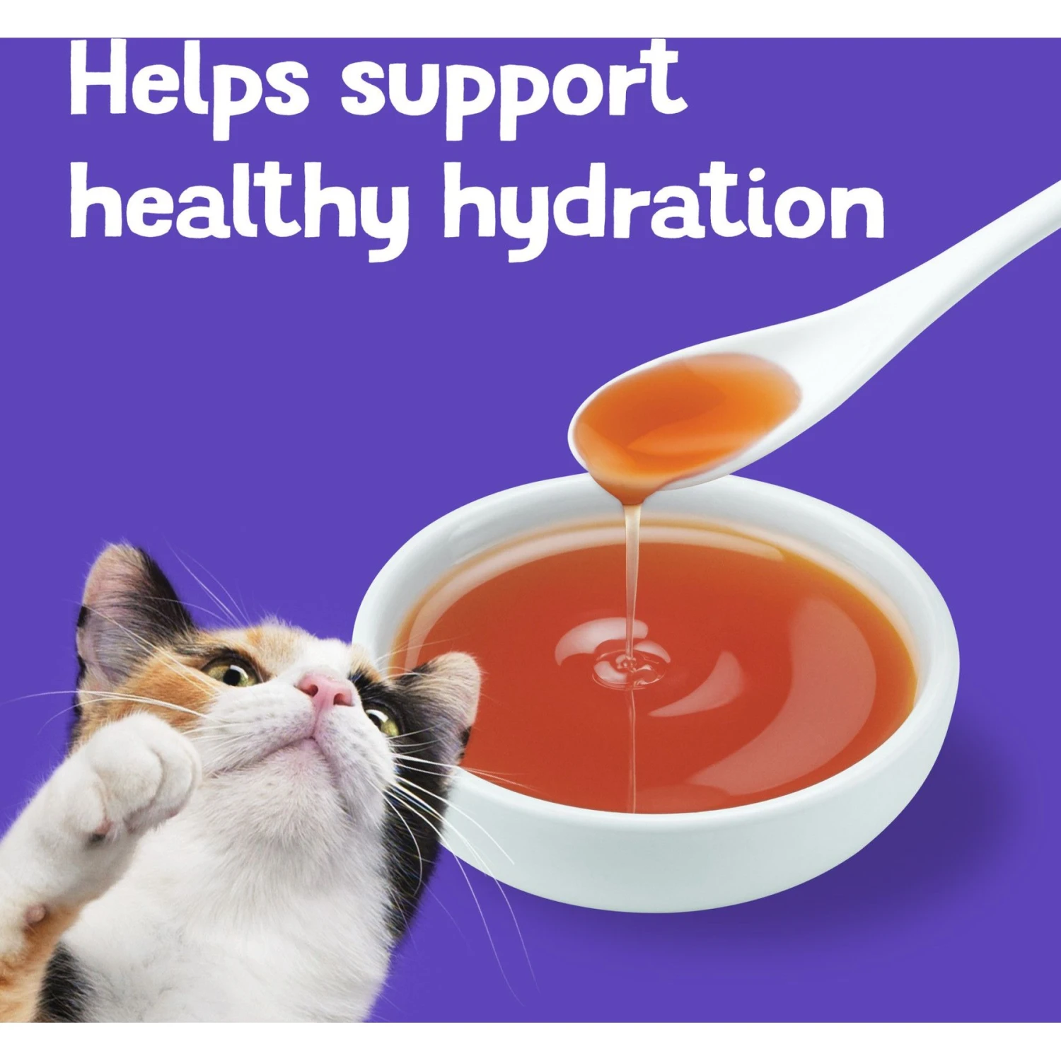 Friskies Lil' Gravies Roasted Turkey Flavor Cat Food Complement 9 Friskies Lil' Gravies Roasted Turkey Flavor Cat Food Complement - Image 7