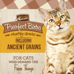 Merrick Purrfect Bistro Healthy Grains Real Chicken + Brown Rice Recipe Adult Dry Cat Food -Furry Friends 267430 PT2. AC SS1800 V1632782513