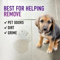 Hoover Paws & Claws Hard Floor Pet Cleaning Formula, 32-oz Bottle -Furry Friends 268773 PT3. AC SS1800 V1611270457