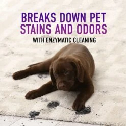 Hoover Paws & Claws Hard Floor Pet Cleaning Formula, 32-oz Bottle -Furry Friends 268773 PT4. AC SS1800 V1611272817