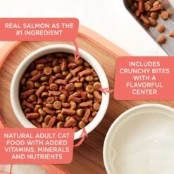 Rachael Ray Nutrish Savory Bites Tasty Salmon & Veggies Recipe Dry Cat Food, 5-lb Bag 11 Rachael Ray Nutrish Savory Bites Tasty Salmon & Veggies Recipe Dry Cat Food, 5-lb Bag -Furry Friends 269175 PT2. AC SS1800 V1611792416