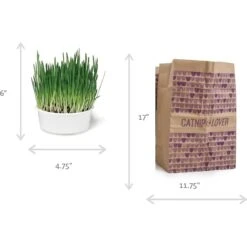 SmartyKat Sweet Greens & Catnip Caves Cat Toy With Catnip -Furry Friends 269247 PT1. AC SS1800 V1639008149