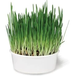 SmartyKat Sweet Greens & Catnip Caves Cat Toy With Catnip -Furry Friends 269247 PT2. AC SS1800 V1639016235