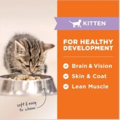 Instinct Raw Meals Cage-Free Chicken Recipe Grain-Free Freeze-Dried Kitten Food, 9.5-oz Bag 15 Instinct Raw Meals Cage-Free Chicken Recipe Grain-Free Freeze-Dried Kitten Food, 9.5-oz Bag -Furry Friends 270213 PT4. AC SS1800 V1690814168