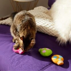 Frisco Colorful Skulls Plush Cat Toy With Catnip, 3 Count -Furry Friends 270325 PT3. AC SS1800 V1630350992