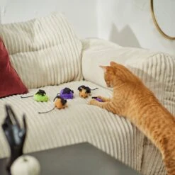 Frisco Halloween Bat Mice Plush Cat Toy With Catnip -Furry Friends 270353 PT3. AC SS1800 V1624817260