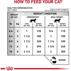 Royal Canin Veterinary Diet Adult Renal Support E Loaf In Sauce Canned Cat Food -Furry Friends 270967 PT5. AC SS1800 V1701881352
