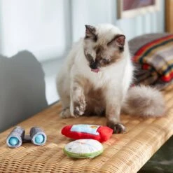 Frisco Camping Compass & Lantern Plush Cat Toy With Catnip, 2 Count -Furry Friends 270985 PT3. AC SS1800 V1625009053