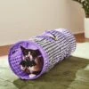 Frisco Halloween Checkered Foldable Play Tunnel Cat Toy With Catnip 1 Frisco Halloween Checkered Foldable Play Tunnel Cat Toy With Catnip -Furry Friends 271304 MAIN. AC SS1800 V1689873224
