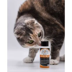 Trixsyn Feline Hyaluronan Joint Support Cat Supplement, 2-oz Bottle -Furry Friends 271728 PT3. AC SS1800 V1698241535