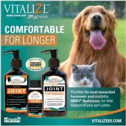 Trixsyn Feline Hyaluronan Joint Support Cat Supplement, 2-oz Bottle -Furry Friends 271728 PT4. AC SS1800 V1698247006