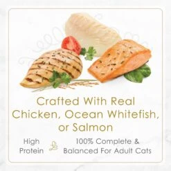 Fancy Feast Gourmet Petites Gravy Collection Variety Pack Wet Cat Food -Furry Friends 272243 PT4. AC SS1800 V1612830990