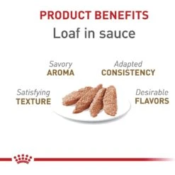 Royal Canin Feline Health Nutrition Aging 12+ Loaf In Sauce Canned Cat Food 13 Royal Canin Feline Health Nutrition Aging 12+ Loaf In Sauce Canned Cat Food -Furry Friends 272682 PT2. AC SS1800 V1697733666