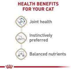 Royal Canin Feline Health Nutrition Aging 12+ Loaf In Sauce Canned Cat Food 14 Royal Canin Feline Health Nutrition Aging 12+ Loaf In Sauce Canned Cat Food -Furry Friends 272682 PT3. AC SS1800 V1697759567