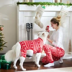 Frisco Holiday Fair Isle Polar Fleece Unisex Adult Pajama Pants -Furry Friends 276603 PT8. AC SS1800 V1631659441