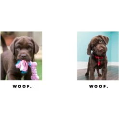 Frisco Minimalistic Woof White Personalized Coffee Mug, 15-oz -Furry Friends 277075 PT2. AC SS1800 V1629146832