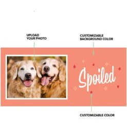 Frisco Spoiled White Personalized Coffee Mug, 15-oz -Furry Friends 277079 PT1. AC SS1800 V1629145881