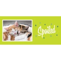 Frisco Spoiled White Personalized Coffee Mug, 15-oz -Furry Friends 277079 PT2. AC SS1800 V1629147103