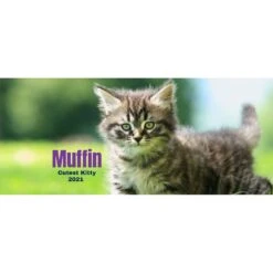 Frisco Classic Photo White Personalized Coffee Mug, 15-oz -Furry Friends 277089 PT2. AC SS1800 V1629146469