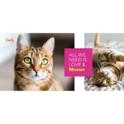 Frisco "Classic #2" Photos White Personalized Coffee Mug -Furry Friends 277091 PT2. AC SS1800 V1629147187