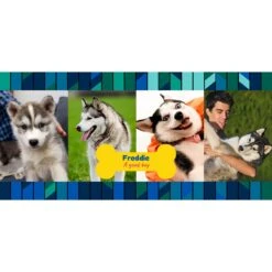 Frisco Contemporary Collage #2 White Personalized Coffee Mug, 15-oz -Furry Friends 277095 PT2. AC SS1800 V1629146655