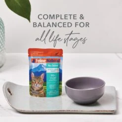 Feline Natural Chicken & Lamb Feast Grain-Free Wet Cat Food, 3-oz Pouch, Case Of 12 11 Feline Natural Chicken & Lamb Feast Grain-Free Wet Cat Food, 3-oz Pouch, Case Of 12 -Furry Friends 277488 PT2. AC SS1800 V1686057890
