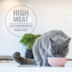 Feline Natural Chicken & Lamb Feast Grain-Free Wet Cat Food, 3-oz Pouch, Case Of 12 12 Feline Natural Chicken & Lamb Feast Grain-Free Wet Cat Food, 3-oz Pouch, Case Of 12 -Furry Friends 277488 PT3. AC SS1800 V1686058413