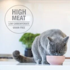 Feline Natural Hoki & Beef Feast Grain-Free Wet Cat Food, 3-oz Pouch, Case Of 12 -Furry Friends 277490 PT3. AC SS1800 V1628703673