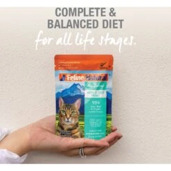 Feline Natural Hoki & Beef Feast Grain-Free Wet Cat Food, 3-oz Pouch, Case Of 12 -Furry Friends 277490 PT4. AC SS1800 V1628703987