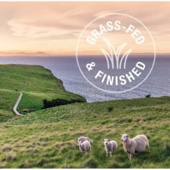 Feline Natural Hoki & Beef Feast Grain-Free Wet Cat Food, 3-oz Pouch, Case Of 12 -Furry Friends 277490 PT6. AC SS1800 V1628703973