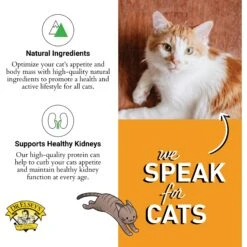 Dr. Elsey's Cleanprotein Turkey Kibble Cat Dry Food -Furry Friends 277949 PT4. AC SS1800 V1701452381