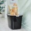 Frisco Top Entry Cat Litter Box, Extra Large -Furry Friends 278183 MAIN. AC SS1800 V1675279642