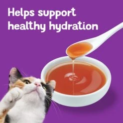 Friskies Lil' Gravies & Lil' Grillers Variety Pack Wet Cat Food Complement, 1.55-oz Pouch, Case Of 30 -Furry Friends 278909 PT6. AC SS1800 V1700159308